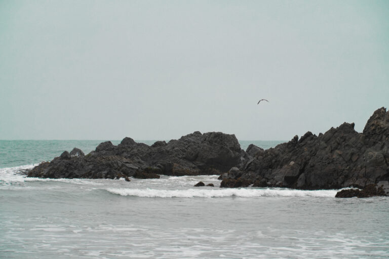 DSC02407